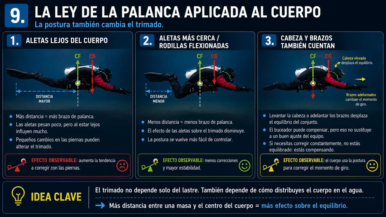 Infografía de la ley de la palanca aplicada al cuerpo del buceador, aletas, rodillas, cabeza y brazos